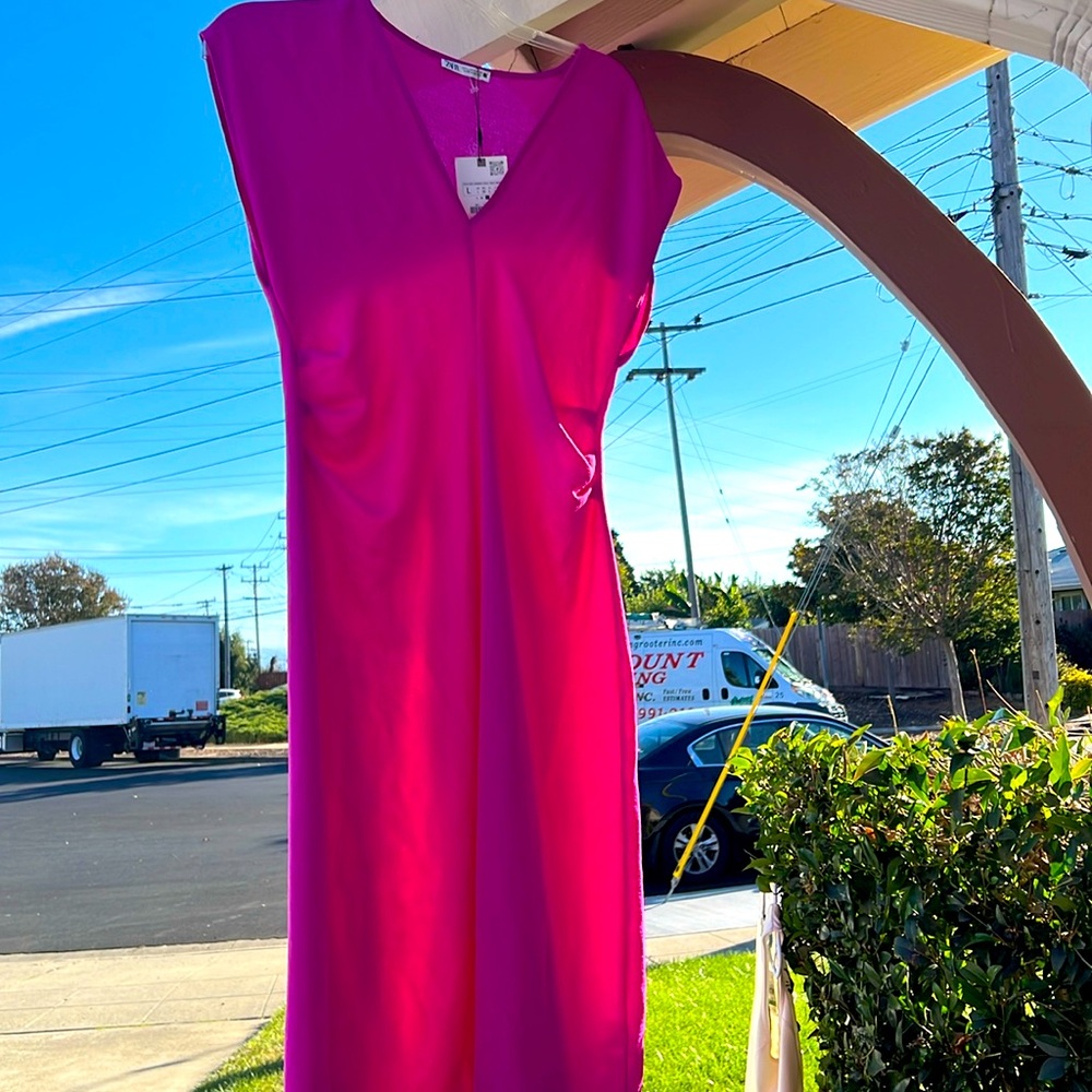 Zara Pink Midi Dress